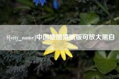 莘县中国地图清晰版可放大黑白