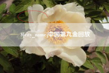 莘县中国第九金回放
