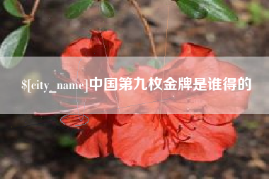 莘县中国第九枚金牌是谁得的