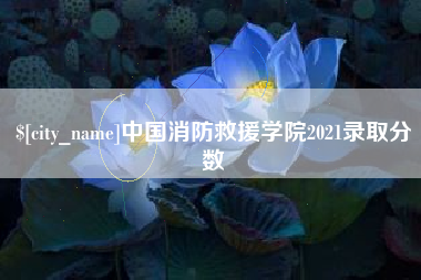 莘县中国消防救援学院2021录取分数