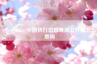 莘县中国执行信息查询公开网怎么查询
