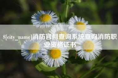 莘县消防官网查询系统查询消防职业资格证书