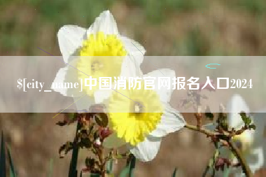 莘县中国消防官网报名入口2024