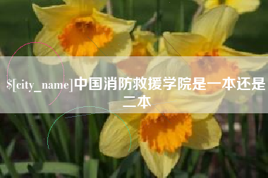 莘县中国消防救援学院是一本还是二本