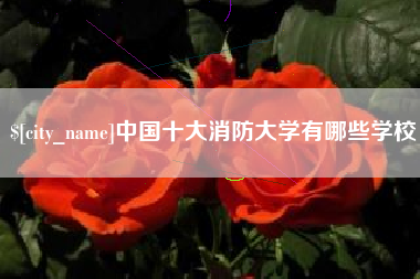 莘县中国十大消防大学有哪些学校