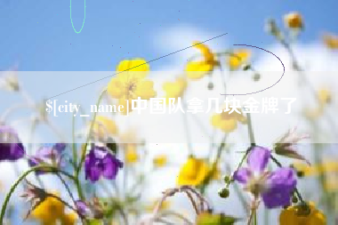 莘县中国队拿几块金牌了