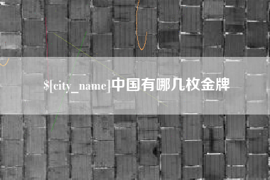 莘县中国有哪几枚金牌