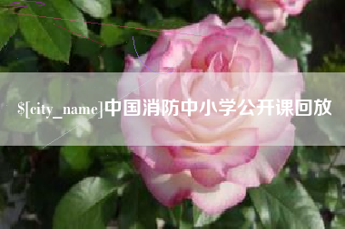 莘县中国消防中小学公开课回放