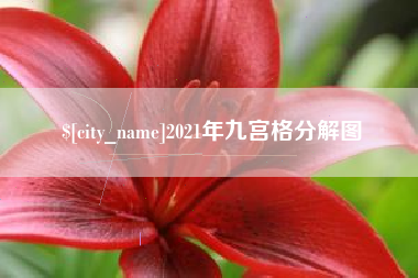 莘县2021年九宫格分解图