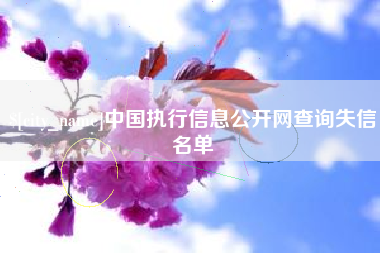 莘县中国执行信息公开网查询失信名单