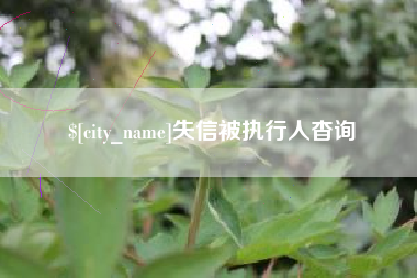 莘县失信被执行人杳询