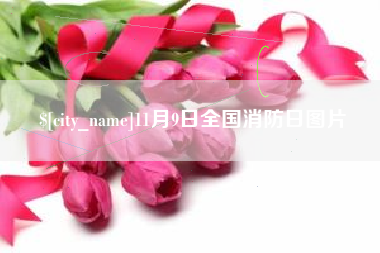 莘县11月9日全国消防日图片