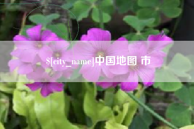 莘县中国地图 市