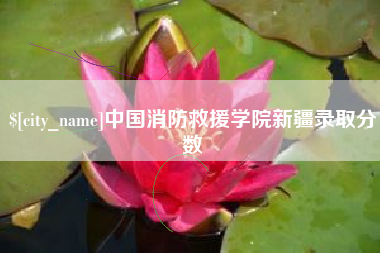 莘县中国消防救援学院新疆录取分数