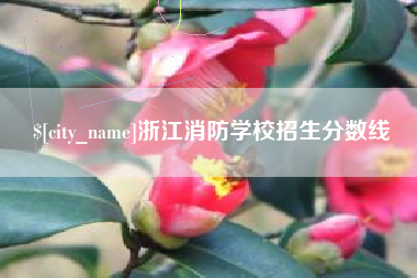 莘县浙江消防学校招生分数线