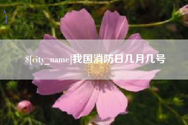 莘县我国消防日几月几号