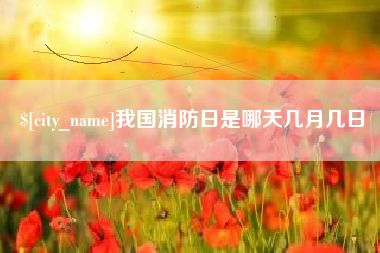 莘县我国消防日是哪天几月几日