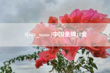 莘县中国金牌18金