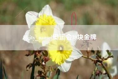 莘县奥运会39块金牌
