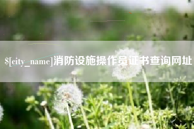 莘县消防设施操作员证书查询网址