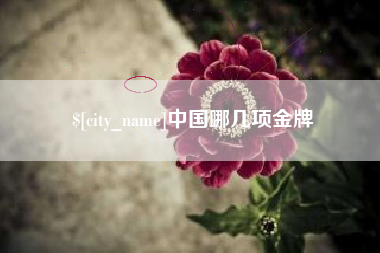 莘县中国哪几项金牌