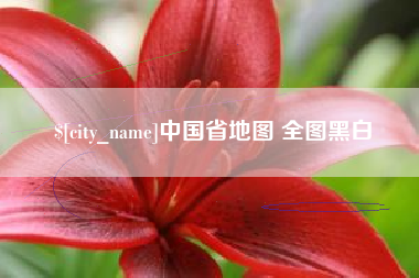 莘县中国省地图 全图黑白