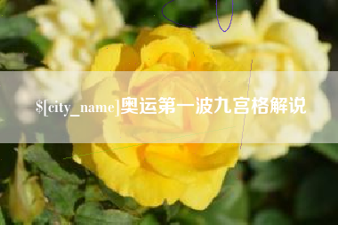 莘县奥运第一波九宫格解说