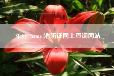 莘县消防证网上查询网站
