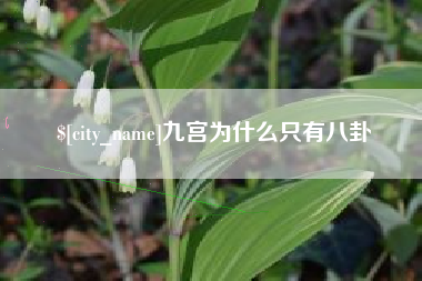莘县九宫为什么只有八卦