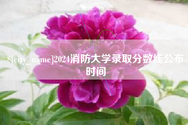 莘县2024消防大学录取分数线公布时间