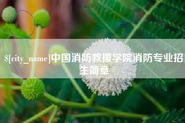 莘县中国消防救援学院消防专业招生简章
