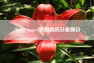 莘县我国消防日是哪日