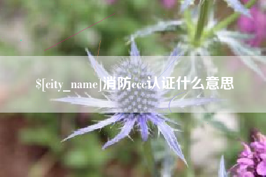 莘县消防ccc认证什么意思