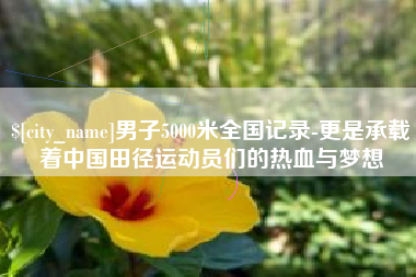 莘县男子5000米全国记录-更是承载着中国田径运动员们的热血与梦想