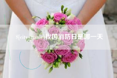 莘县我国消防日是哪一天