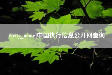 莘县中国执行信息公开网查询