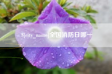 莘县全国消防日哪一