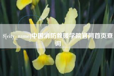莘县中国消防救援学院官网首页查询