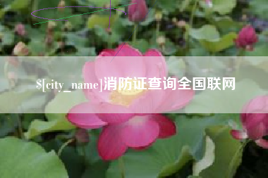 莘县消防证查询全国联网