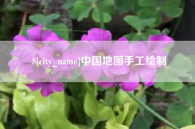 莘县中国地图手工绘制