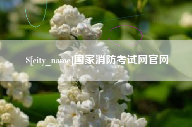 莘县国家消防考试网官网