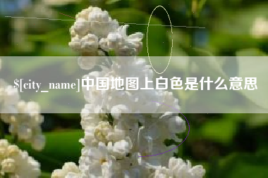 莘县中国地图上白色是什么意思