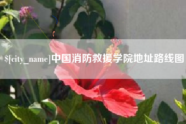 莘县中国消防救援学院地址路线图