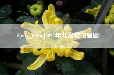 莘县2022年九宫格飞星图