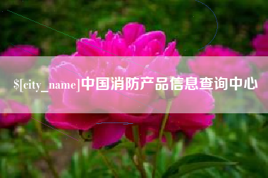 莘县中国消防产品信息查询中心