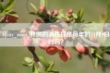 莘县我国的消防日是每年的11月9日对吗？