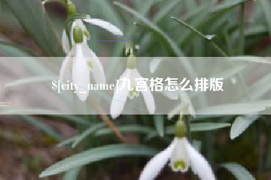 莘县九宫格怎么排版