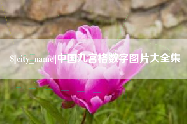 莘县中国九宫格数字图片大全集
