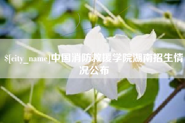 莘县中国消防救援学院湖南招生情况公布