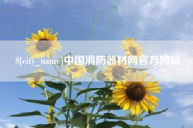 莘县中国消防器材网官方网站